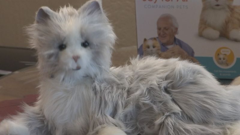 azfampets_2_one.jpg