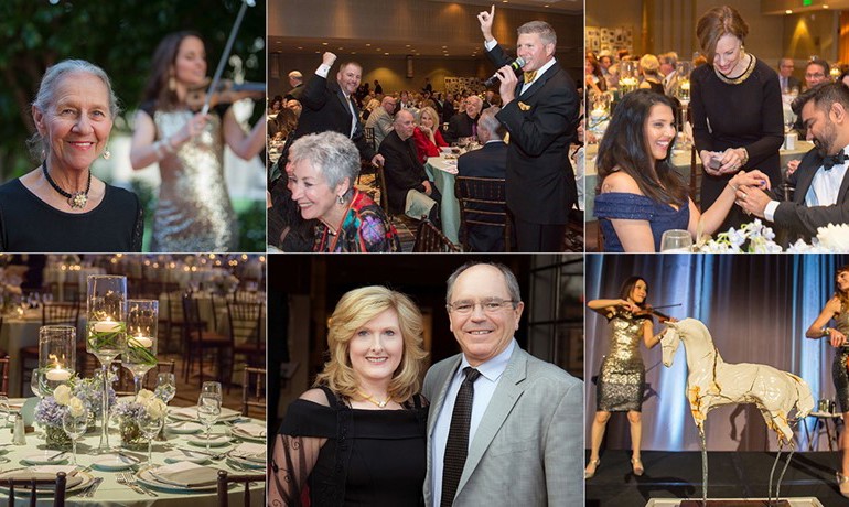 A collection of images from the Aaha! event