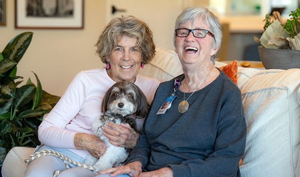 Pet therapy dog with patient