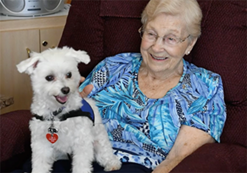 Pet Therapists Bring Cheer to Patients